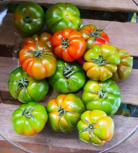 Lägenhet Osteria Du Barba Pe' - Casa Miranda *